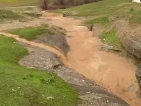 Siirt’te dolu yağışı etkili oldu, bahçeler zarar gördü
