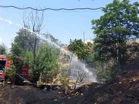 Siirt’te iş makinesinden çıkan kıvılcımı otluk alanı yaktı
