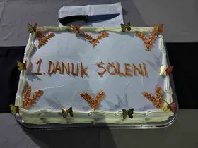 Siirt’te koruma altındaki çocuklarla "Danuk Şöleni"

