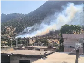 Siirt’te orman yangını büyümeden kontrol altına alındı
