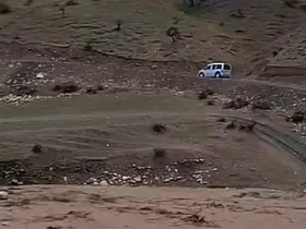 Siirt’te sağanak yağış hayvancılığı olumsuz etkiledi
