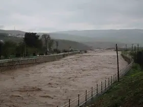 Siirt’te sel bilançosu: 200 dekarlık alanda toprak kayması yaşandı, 400 e yakın hayvan telef oldu
