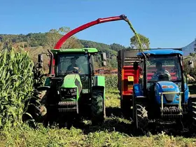 Silajlık mısır hasadı üreticinin yüzünü güldürdü
