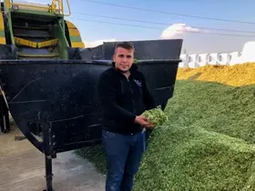 Silajlık mısıra ve samana talep arttı

