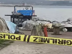 Şile sahilinde havan mermisi bulundu
