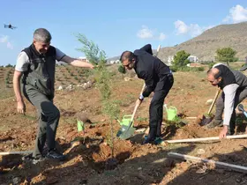 Silifke’de Şehit Savcı Mehmet Selim Kiraz Hatıra Ormanı yeniden yeşilleniyor
