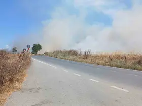 Silivri’de korkutan tarla yangını: Polis vatandaşları uyardı
