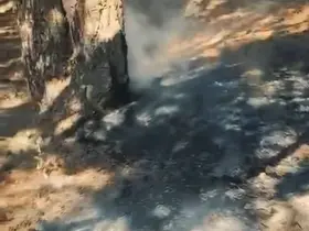 Simav Gölcük mesire alanında korkutan yangın
