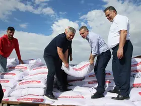 Sincan Belediyesi’nden çiftçilere buğday tohumu desteği
