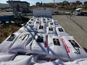 Sincan Belediyesi’nden çiftçilere buğday tohumu desteği
