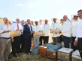Sincik’te bal sağım programına yoğun katılım
