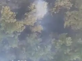 Sındırgı orman yangını 20’nci saate ulaştı
