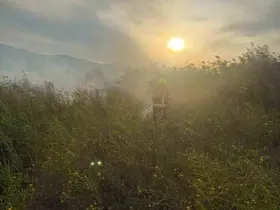 Sındırgı’da otluk alanda yangın
