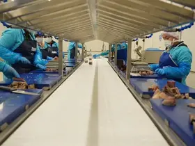 Sinop 2025’te ihracatta vites yükseltti
