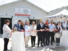 Sinop’ta istiridye mantarı ve dikey tarım tesisi açıldı

