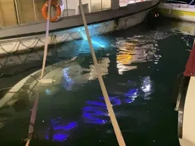 Sinop’ta tekne sulara gömüldü
