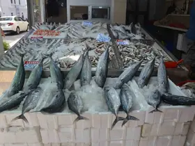 Sinop’ta torik bolluğu: Tanesi 800 TL
