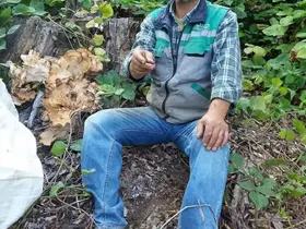 Sinop’ta traktör devrildi, orman işçisi hayatını kaybetti
