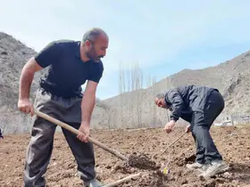 Şırnaklı çiftçi devlet desteğiyle bütün arazisine meyve fidanı dikti
