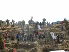 Şırnak’ta "Adliye Hatıra Ormanı" kuruldu
