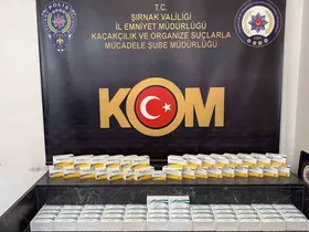Şırnak’ta kaçak ilaç ve serum operasyonu: 2,5 milyon liralık tıbbi ürün ele geçirildi
