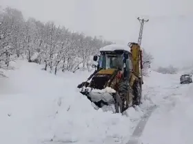 Şırnak’ta kar nedeniyle kapanan yollar açıldı
