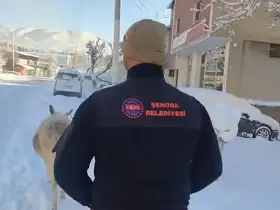 Şırnak’ta sokak hayvanları barınaklara toplandı
