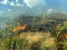 Şırnak’taki örtü ve orman yangını söndürüldü
