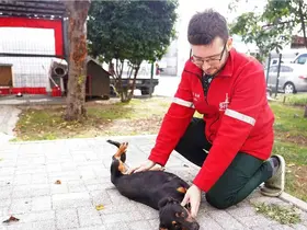 Şişli Belediyesi’nden sokak hayvanlarına şefkat eli
