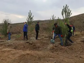 Sivas’ta 58 bin fidan toprakla buluşturuldu
