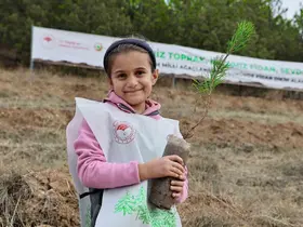 Sivas’ta 90 bin fidan toprakla buluştu
