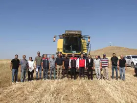 Sivas’ta ilk kez toprakla buluşturulan 5 farklı çeşit buğday hasat edildi

