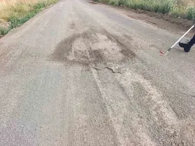 Sivas’ta odun yığınlarının arasına giren yılan itfaiye ekiplerini harekete geçirdi
