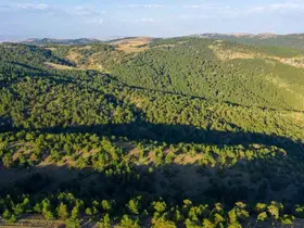Sivas’ta ormanlık alanlara giriş yasaklandı
