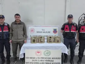 Sivas’ta usulsüz ele geçirilen 4 keklik doğaya salındı
