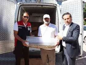 Sivas’ta yüzbinlerce yavru balık göl ve göletlere bırakıldı
