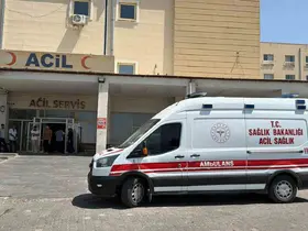 Siverek-Çermik yolunda otomobil yoldan çıktı: 3 yaralı
