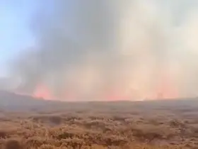 Siverek Karacadağ’da yangın
