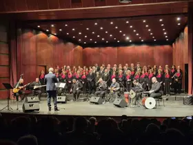 Sivrihisarlılar Derneği korosundan ’Türk Halk Müziği’ konseri
