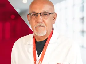 Sivrisinek kaynaklı chikungunya virüsüne karşı uyarı
