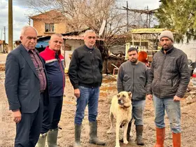 Söke Ovası’nda yağış sonrası zarar tespit çalışmaları

