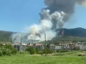 Soma’da orman yangını