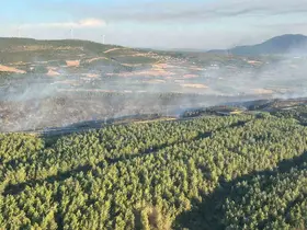 Soma’daki orman yangını kontrol altına alındı: Otoyol yeniden ulaşıma açıldı
