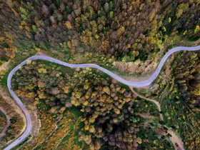 Sonbaharın renkleri Çam Dağı’nı baştan sona sardı
