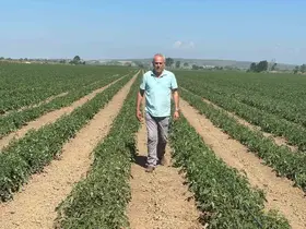 Sözleşme yaptığı firma ürünü almayınca 20 milyon lira zarar etti
