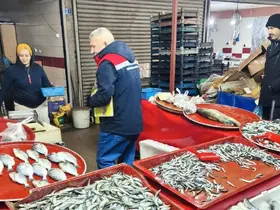 Su ürünleri denetlendi, balık boyları tek tek ölçüldü
