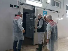 Su ürünleri tesislerinde güvenlik ve kalite denetimi
