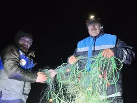 Suğla Gölü’nde kaçak avcılığa geçit yok: 800 metrelik ağ imha edildi