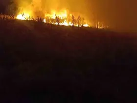 Şuhut’ta arazi yangını
