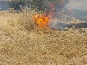 Şuhut’ta bir günde 5 ayrı noktada arazi yangını
